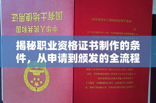 寿丰揭秘职业资格证书制作的条件，从申请到颁发的全流程解析